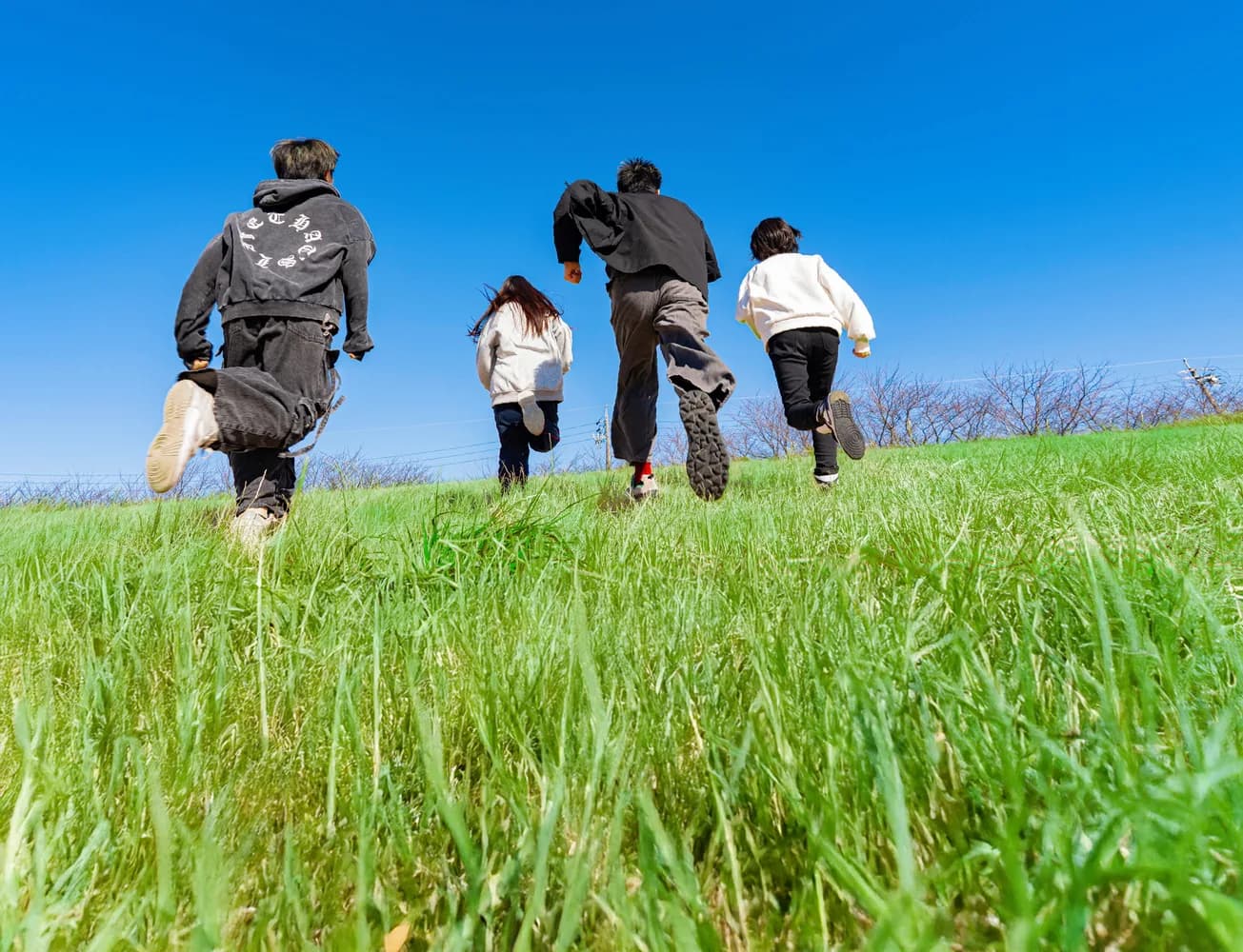 School website photograph · 学校法人平青学園 長野平青学園日本語科