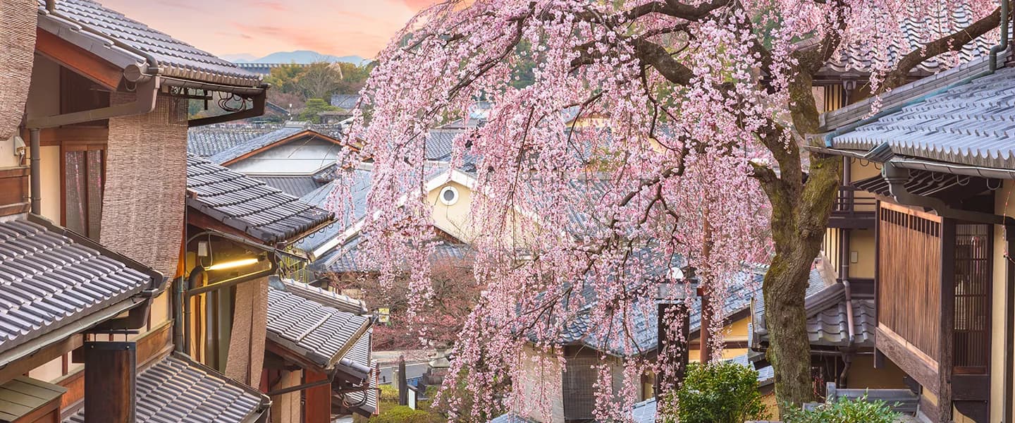 School website photograph · 江戸カルチャーセンター日本語学校
