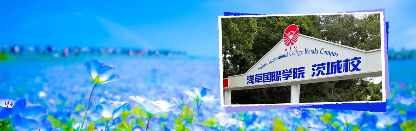School website photograph · 浅草国際学院 茨城校