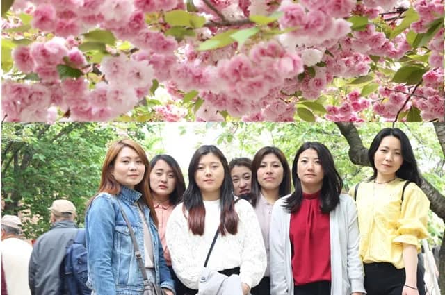 School website photograph · 国際未来学院