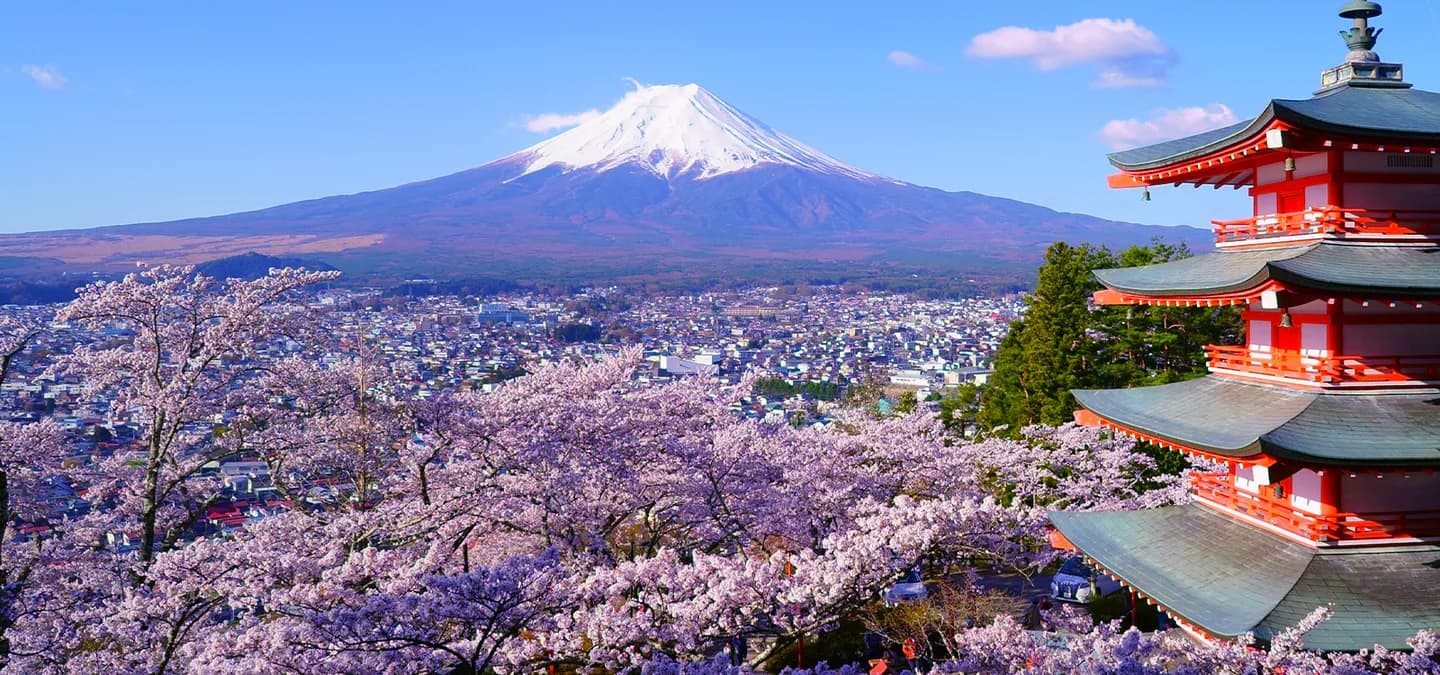 School website photograph · 富藤外国語学院