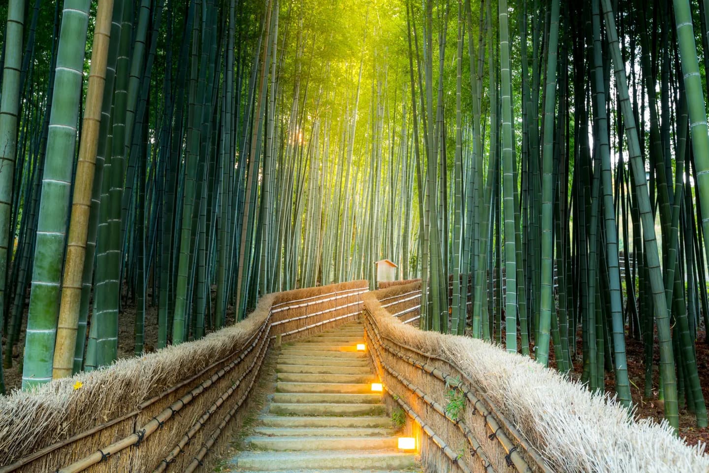School website photograph · Kyoto Language Academy