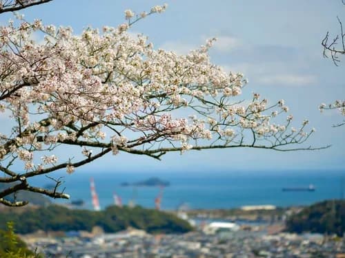 School website photograph · SAIKI MINSAI JAPANESE LANGUAGE SCHOOL