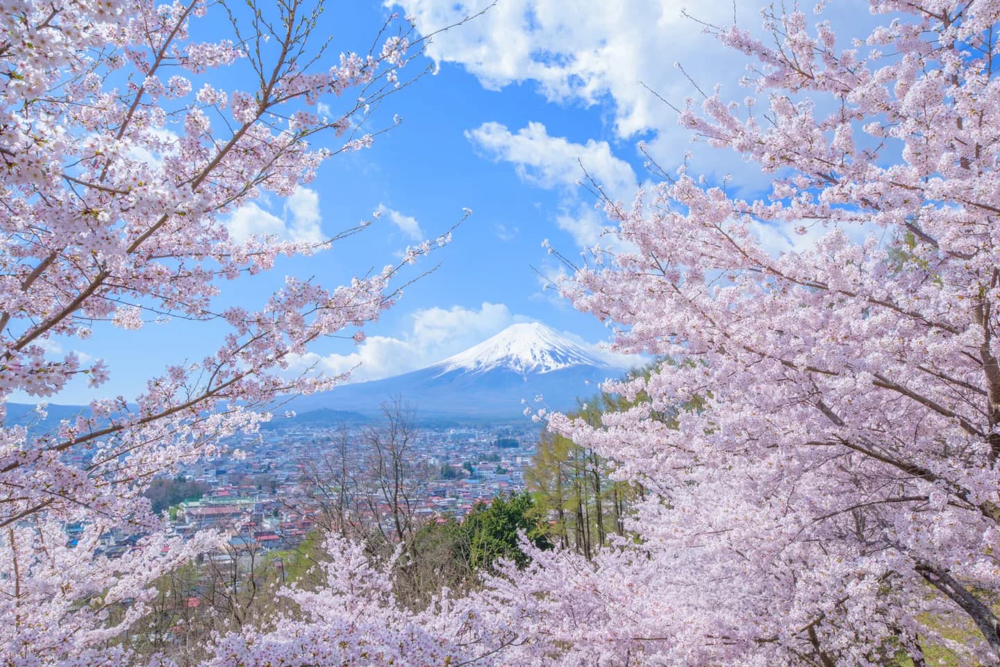 School website photograph · 東京日野国際学院