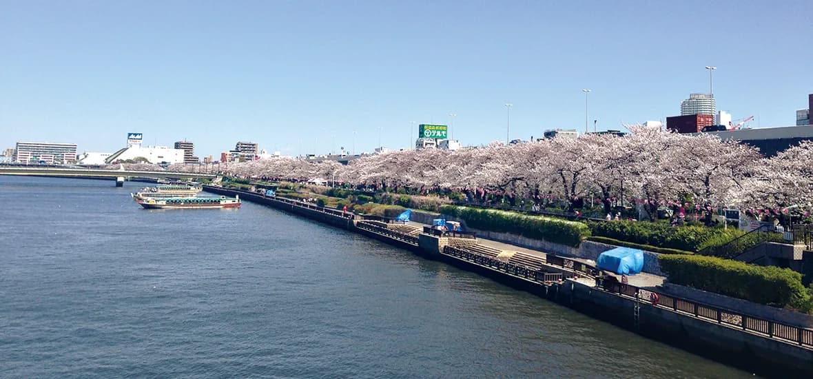 School website photograph · 東京上智国際語学院