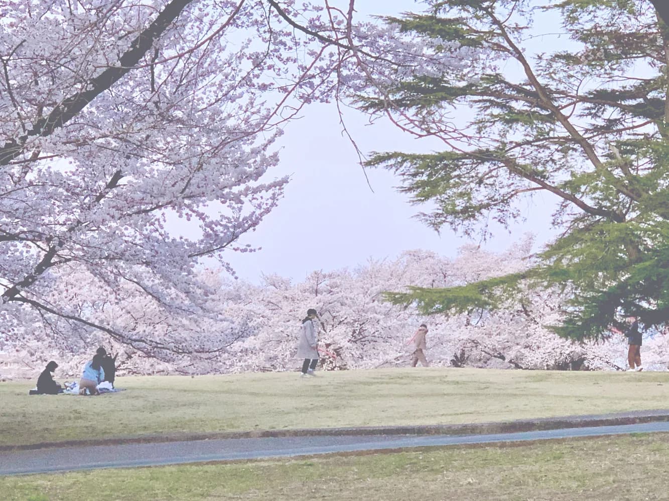 School website photograph · 旭日本語学院