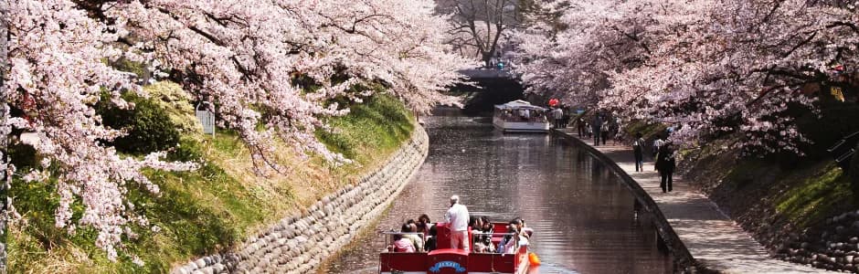School website photograph · TOYAMA INTERNATIONAL ACADEMY