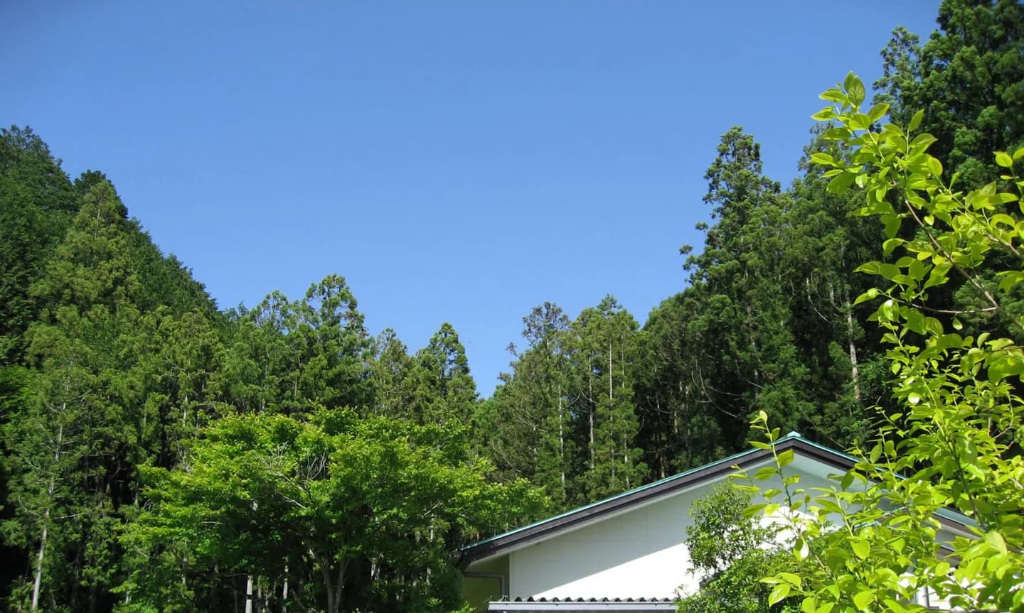 School website photograph · KOUBUN INTERNATIONAL