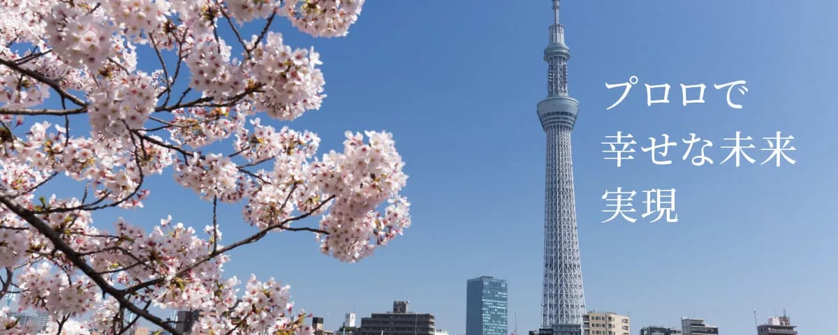 School website photograph · PROROW JAPANESE LANGUAGE SCHOOL