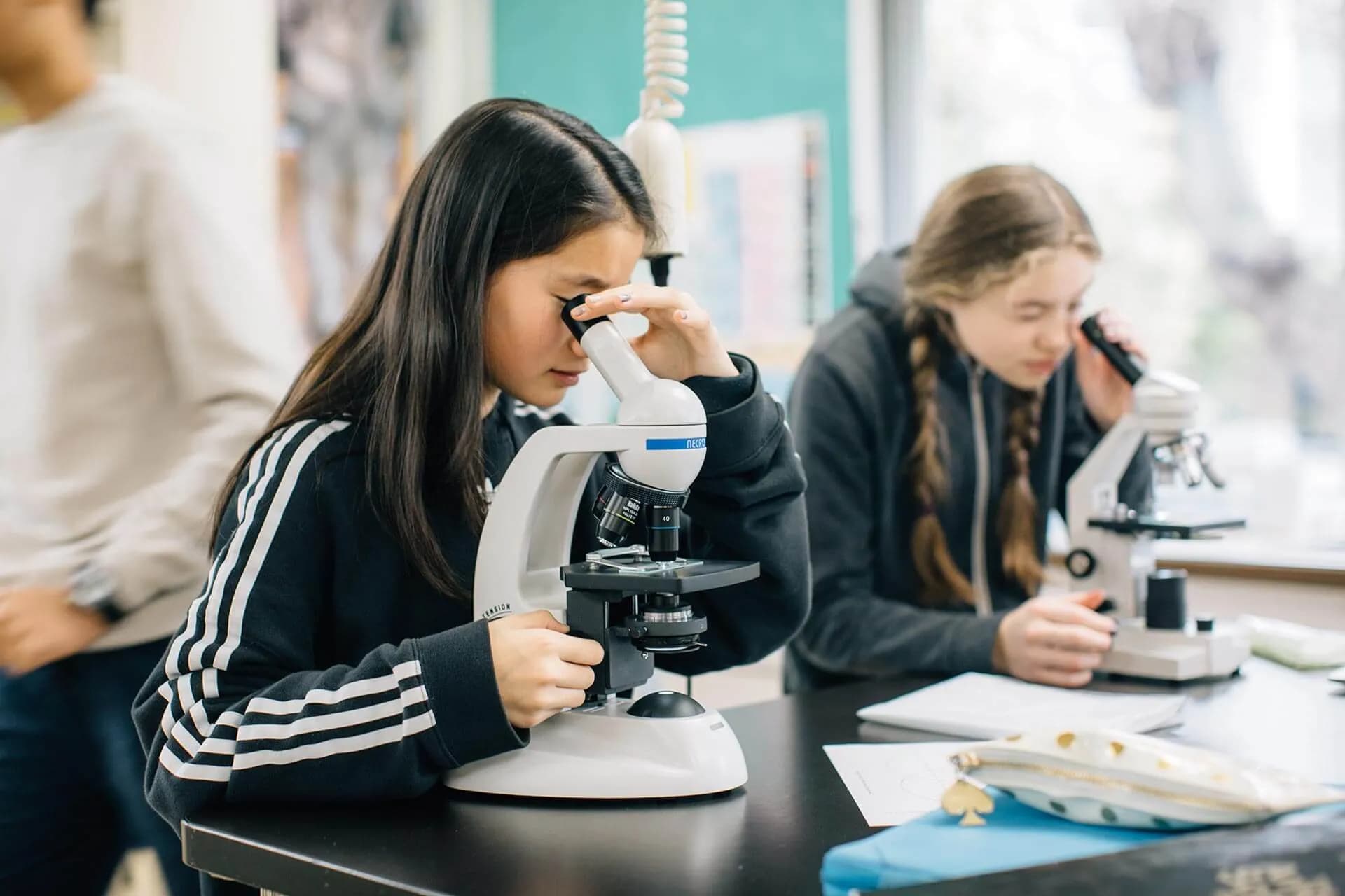 Science learning at The American School in Japan