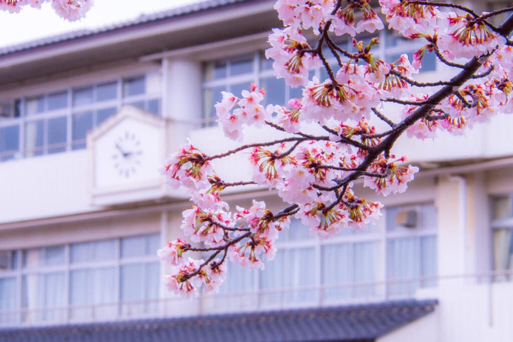 Image from Yuai International Islamic school's official website