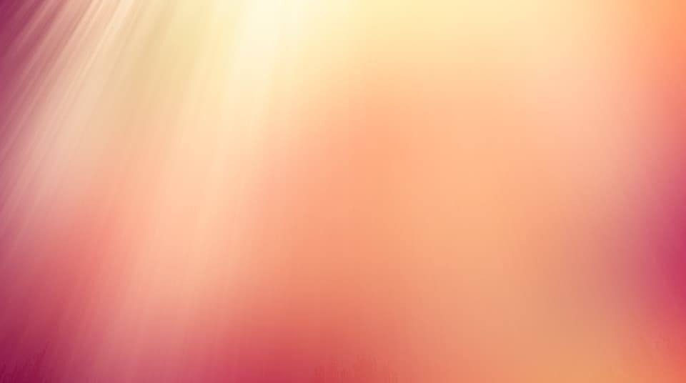 Image from New International School's official website