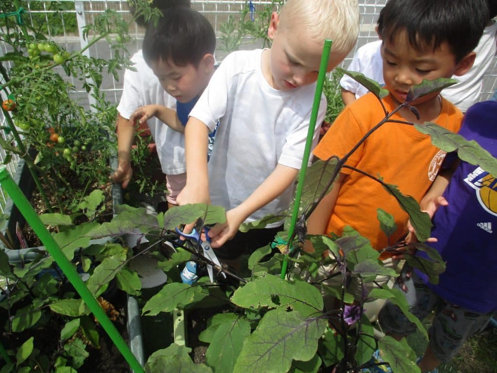 Image from Discovery International School's official website