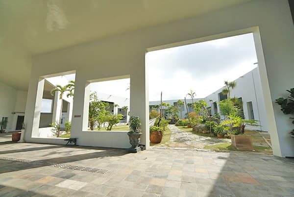 Image from Okinawa AMICUS International's official website