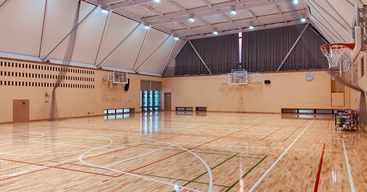 Image from Phoenix House International school's official website