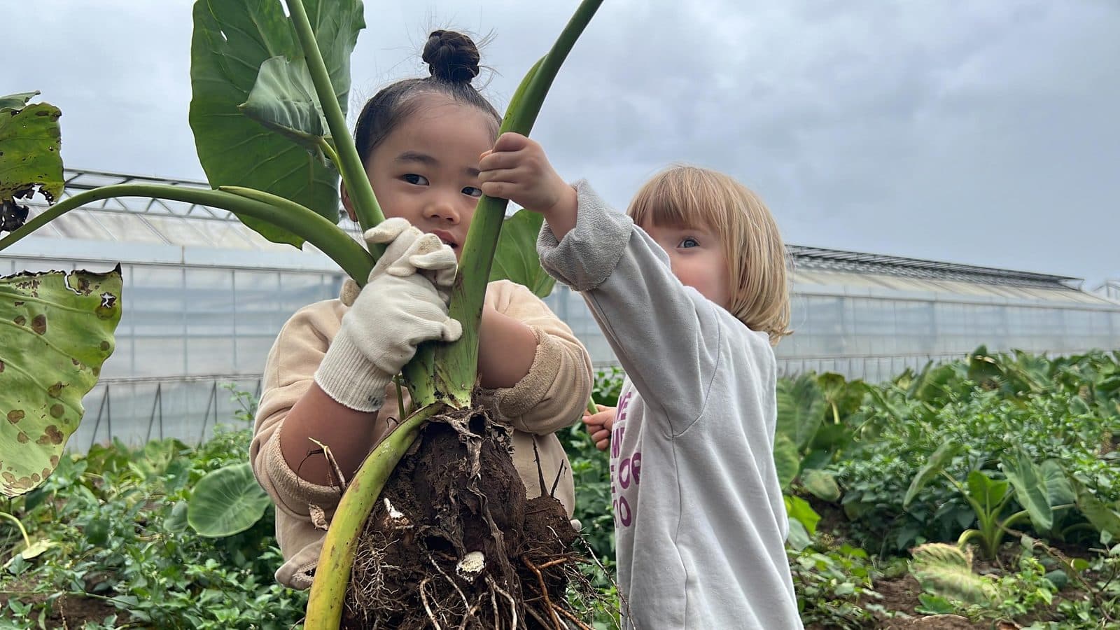 Image from Kodomo Edu International School's official website