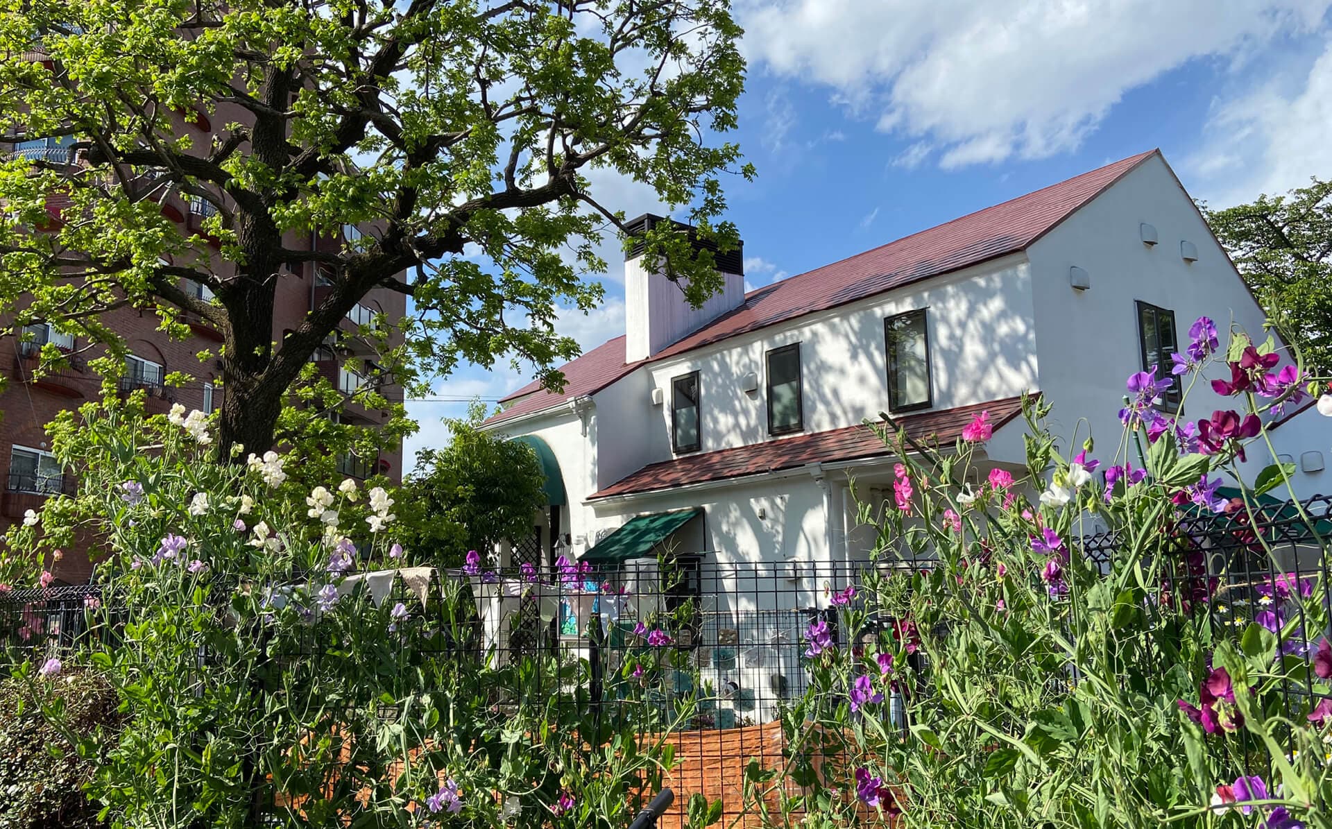 Image from Komazawa Park International School's official website