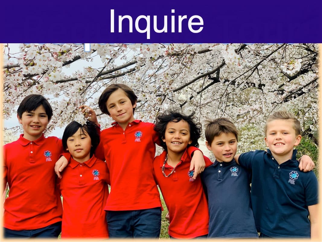 Image from United School of Tokyo's official website