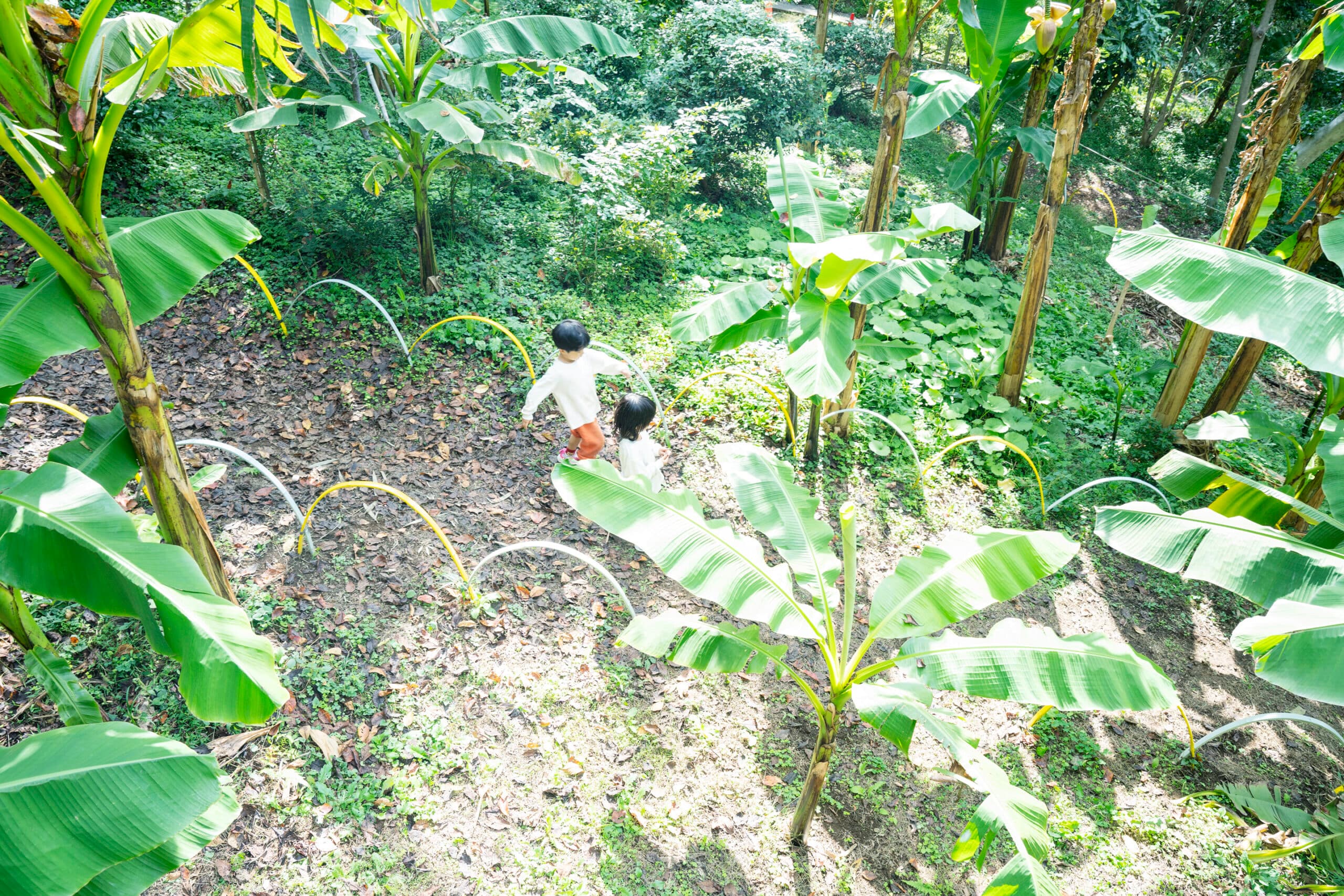 Image from Rita School's official website