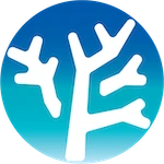日琉国際言語学院 logo