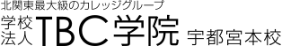 INTERNATIONAL BUSINESS INFORMATION COLLEGE logo