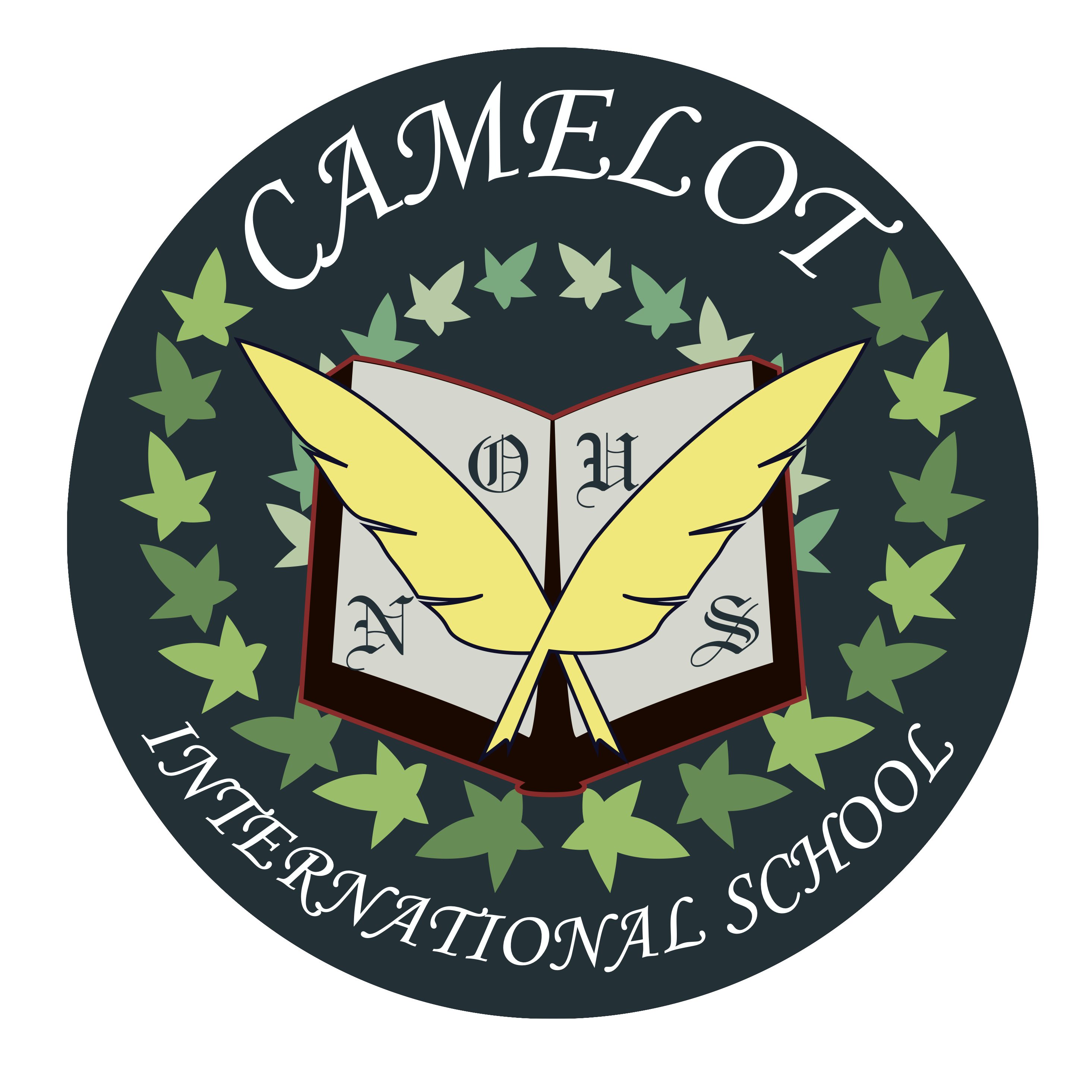 Camelot International School logo